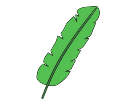 芭蕉树简笔画图片