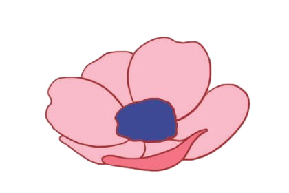 银莲花简笔画图片