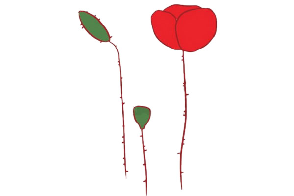 虞美人简笔画图片