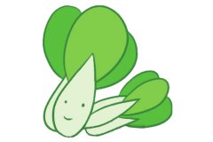 油菜简笔画的画法及图片大全