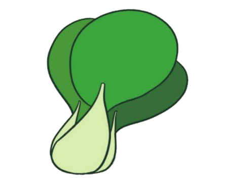油菜简笔画图片