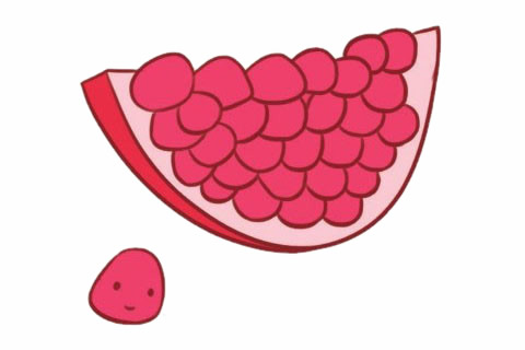 石榴简笔画完成图