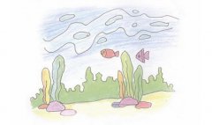 海底世界简笔画的画法步骤教程