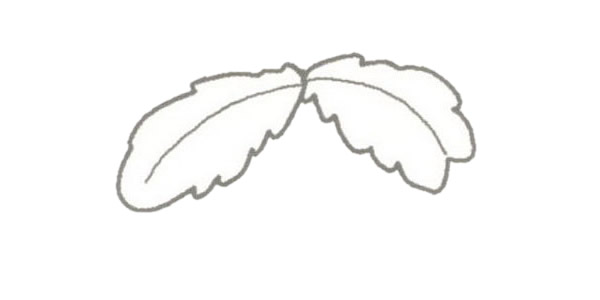 椰子树简笔画图片