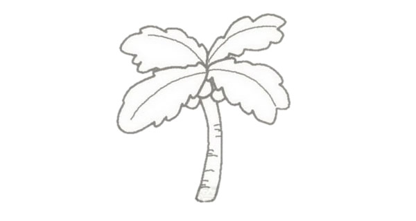 椰子树简笔画图片