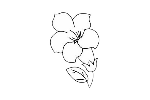 杜鹃花简笔画完成图