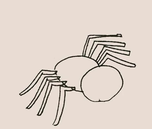 蜘蛛简笔画