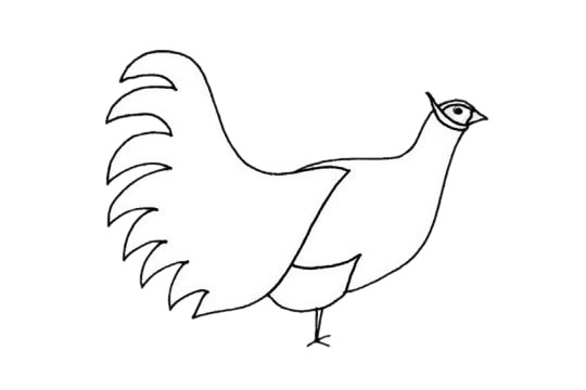 褐马鸡简笔画图片
