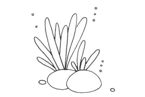 珊瑚简笔画