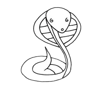 眼镜蛇简笔画图片