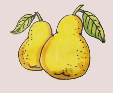 梨的简笔画