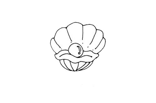 珍珠贝壳简笔画画法步骤图片