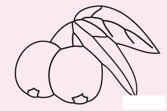 枇杷简笔画图片