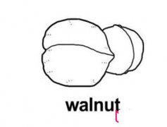 杨桃简笔画,果蔬简笔画大全