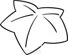 冬瓜简笔画图片步骤教程