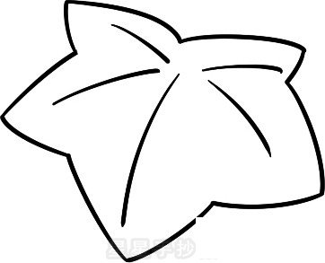 冬瓜简笔画