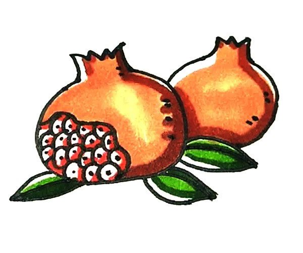 石榴简笔画
