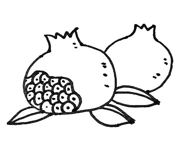 石榴简笔画