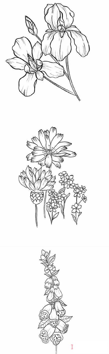 1分钟简笔画手绘鲜花的画法详细步骤简单好看