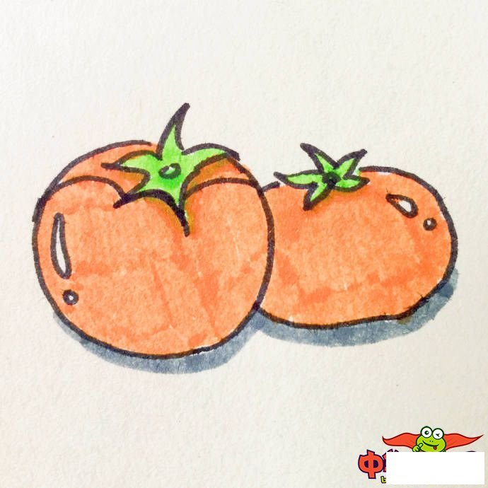 蔬菜简笔画图片带颜色，各种蔬菜简笔画画法