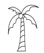 6款椰子树的画法简笔画