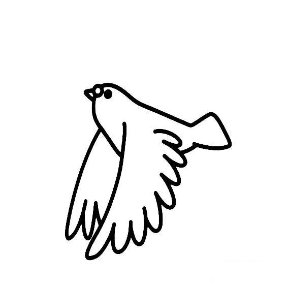 黄鹂鸟的画法
