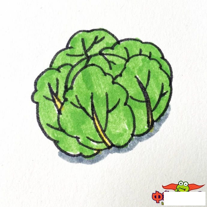 蔬菜简笔画图片带颜色，各种蔬菜简笔画画法