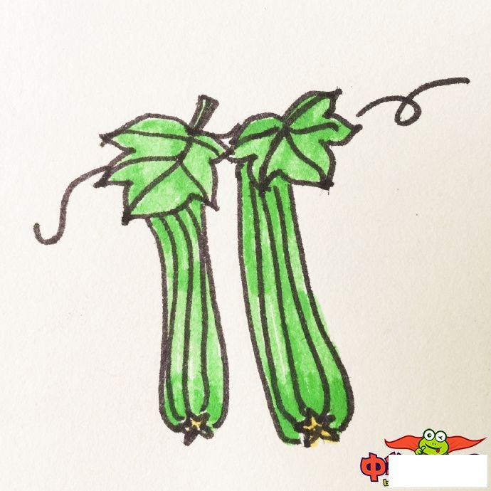 蔬菜简笔画图片带颜色，各种蔬菜简笔画画法