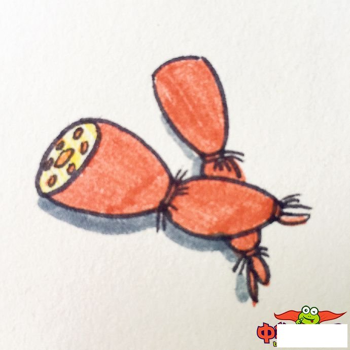 蔬菜简笔画图片带颜色，各种蔬菜简笔画画法