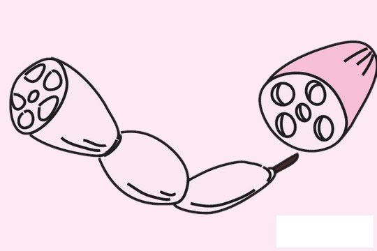 莲藕简笔画图片