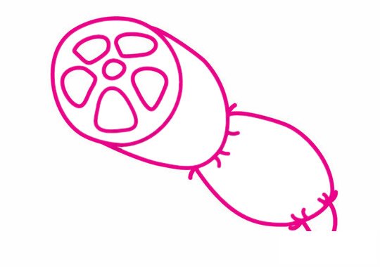 莲藕简笔画图片