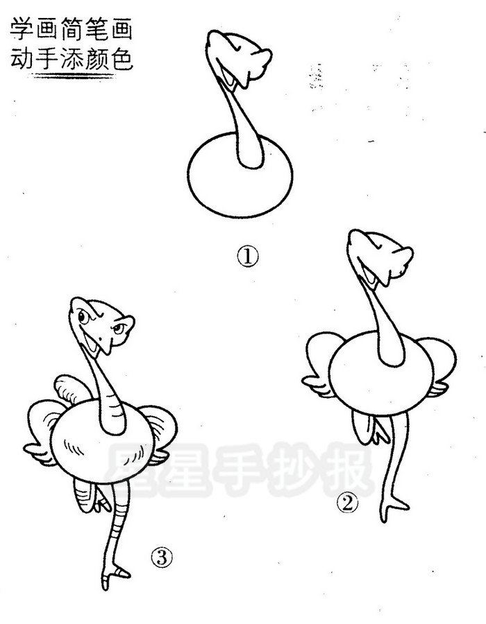 鸵鸟简笔画图片
