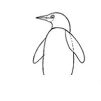 企鹅简笔画