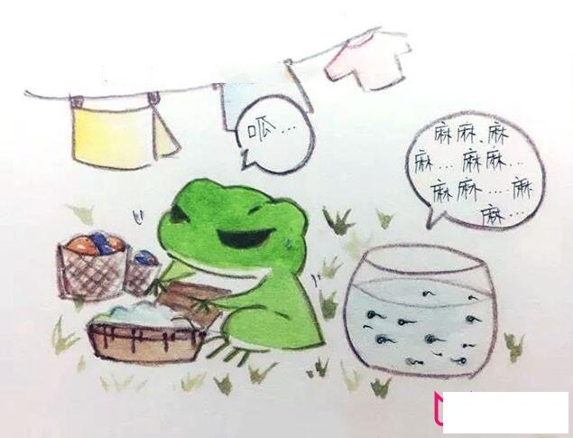 旅行青蛙简笔画图片，佛系青蛙怎么画