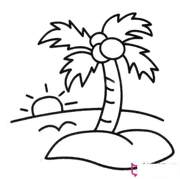 海边风景简笔画图片，海边的椰子树