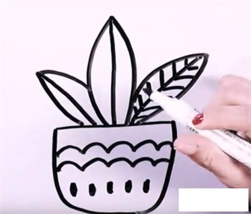 万年青简笔画图片