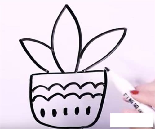 万年青简笔画图片