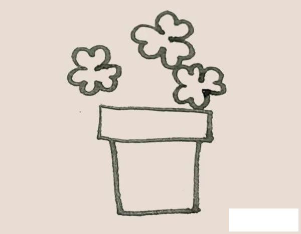 三叶草盆栽简笔画图片