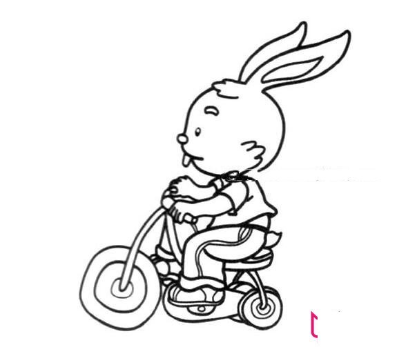 可爱的兔子简笔画大全，各种小兔子画法