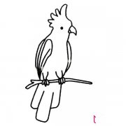 漂亮的动物简笔画大全，鹦鹉简笔画