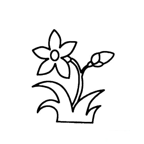 兰花的简笔画法