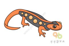 一步一步教画细瘰疣螈