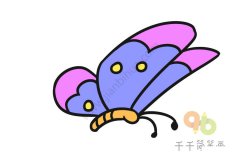 优雅的蝴蝶简笔画步骤图