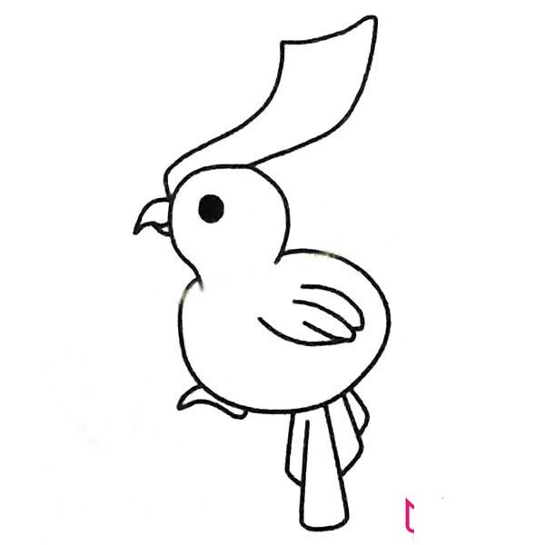 漂亮的动物简笔画大全，鹦鹉简笔画
