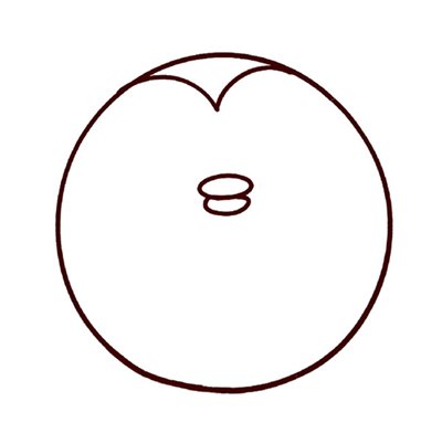 猫头鹰简笔画