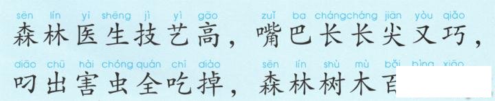 彩色简笔画啄木鸟的图片教程