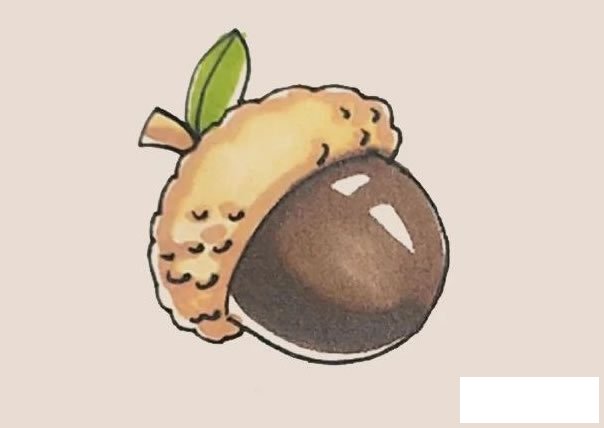 橡果简笔画的画法步骤图