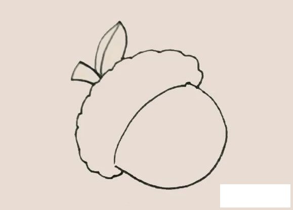 橡果简笔画的画法步骤图