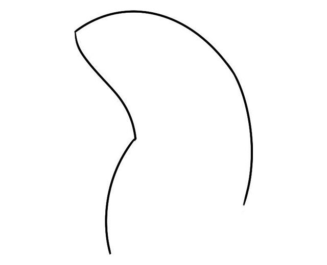 海豹简笔画