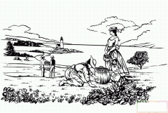 在田里劳作的女孩们简笔画